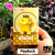 Psyduck